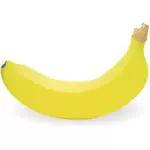 Fotorealistické jednotlivé banán vektorový obrázek