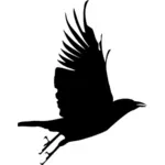 Crow zbor până silueta vectorul imagine