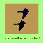 Swallow pair
