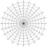 Imagine de web Spider