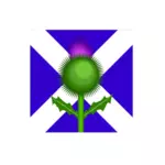 Skotske thistle og flagget vektor image