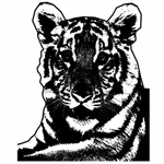 Imaginea monocromă de tigru