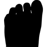 Ilustración vectorial de silueta de los dedos del pie humano
