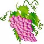 Grafika wektorowa kiści winogron