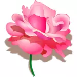 Vector tekening van roos