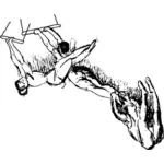 Vectorul ilustrare a schita creion artistilor trapez performante