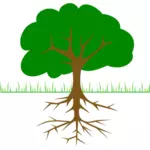 Ветви деревьев и корень векторной графики