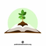 Träd som växer på boken