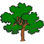 Vektor ClipArt-bilder av oaktree med brett trädtopp,