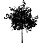 Silhouette vektorgrafikk utklipp av høy treet