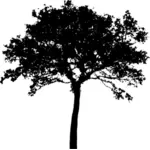 Seni klip vektor siluet pohon buka atas