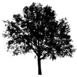 Grafis vektor Silhouette atas pohon vas
