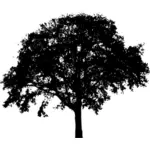 Silhouette-Vektor-Grafiken zur Verbreitung der Baumstruktur