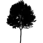 Siluetti vektori piirustus pyöreä puu latva