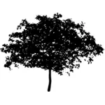 Silhouette vector illustrasjon spre treet toppen