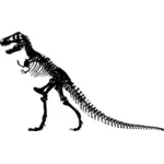 T-Rex-Skelett Vektor-Bild