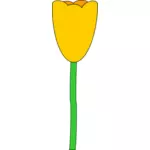 Žlutý Tulipán