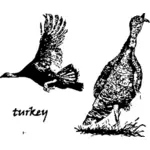 Disegno della Turchia nel filtro maptize