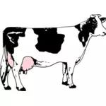 Vektorový obrázek krávy, které jsou plné mléka