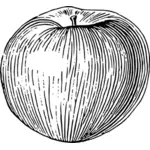 Zeer fijne tekeningen van zwarte en witte apple vector illustraties