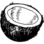 Ilustração em vetor de metade um ícone de fruta coco