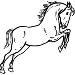 Salto immagine vettoriale cavallo