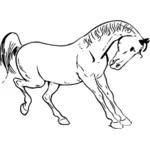 Grafica vettoriale cavallo rampante