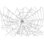 Realistische spinnenweb