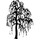 Wierzba drzewo grafika wektorowa