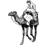 Vector de la imagen de la mujer en un camello