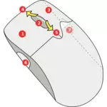 Diagram of wireless mouse vector image