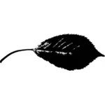 Spiky edged leaf vector image