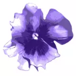 Image vectorielle Pansy