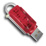 Immagine vettoriale di Keyring USB stick